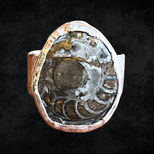 Ammonite Ring