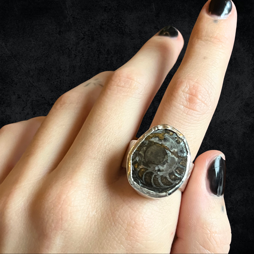 Ammonite Ring
