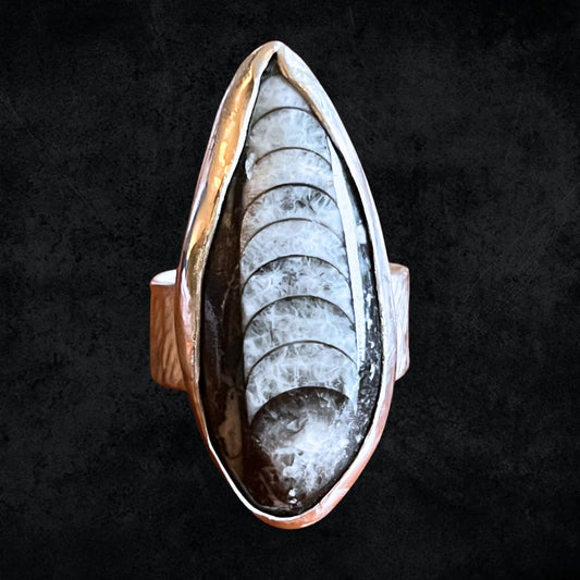 Orthoceras ring