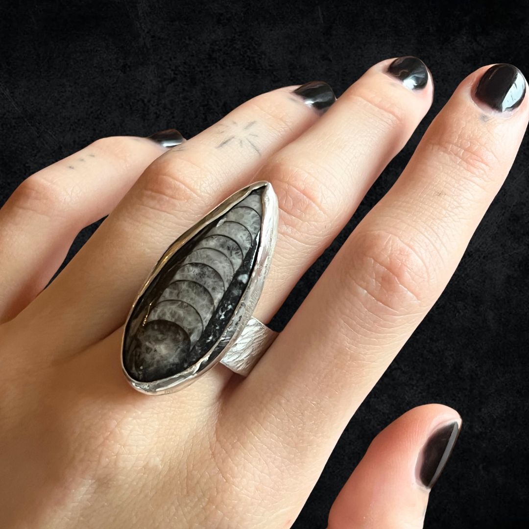 Orthoceras ring